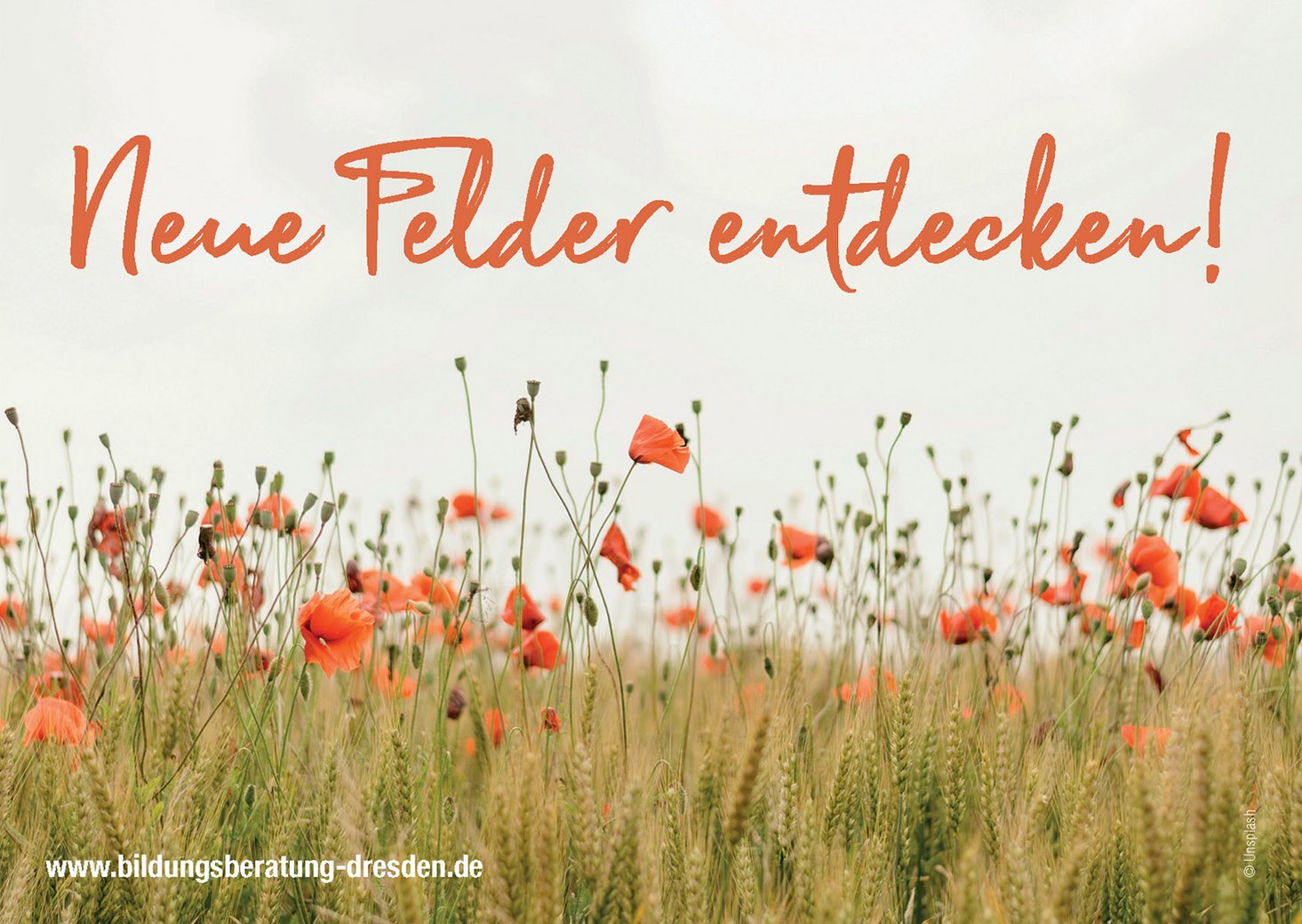 Mohnblumenfeld mit dem Schriftzug Neue Felder entdecken