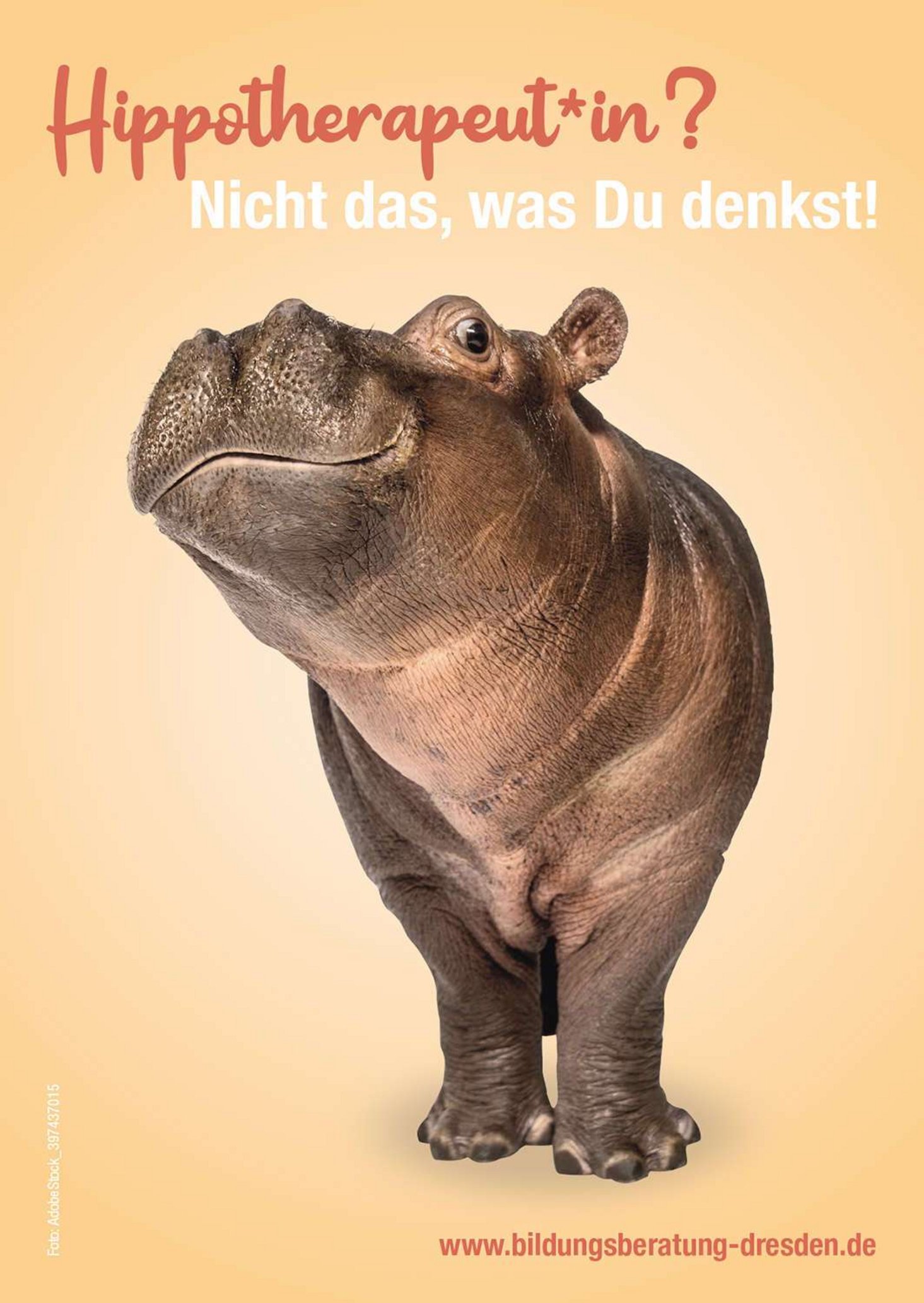 Flusspferd darüber der Schriftzug Hippotherapeut Nicht das was Du denkst